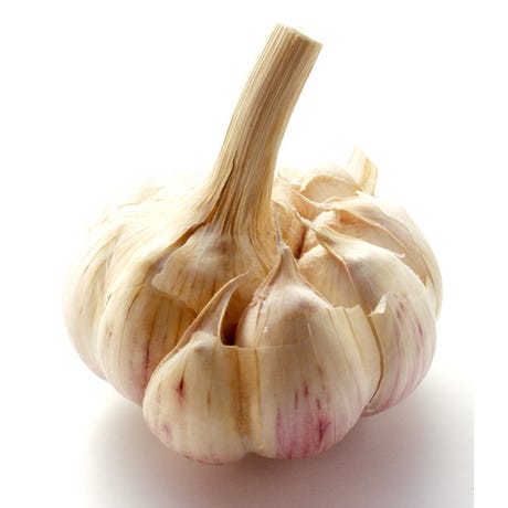 Ail sec 100g