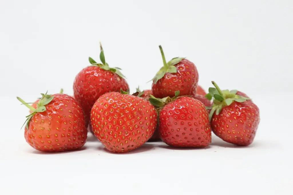 Fraises BIO 500g