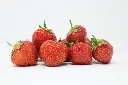 Fraises BIO 500g