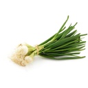Oignon jeune botte 