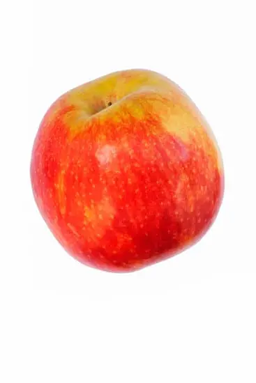 Pomme Jonagold