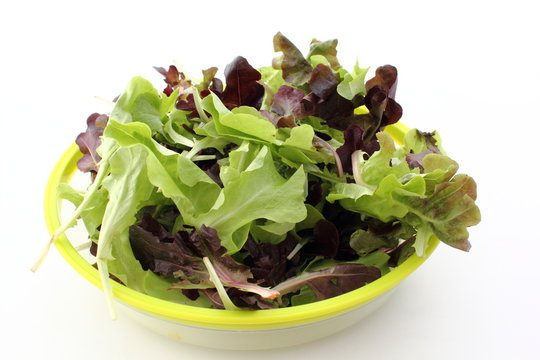 Mesclun de laitues 200g