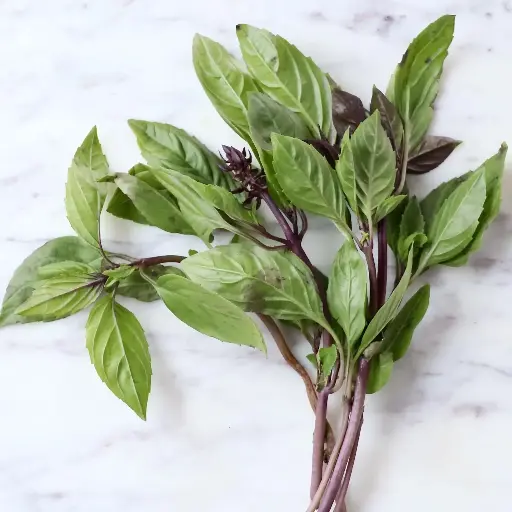 Basilic Thaï bouquet 