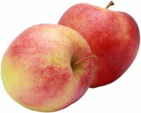 Pomme Delbar 1Kg