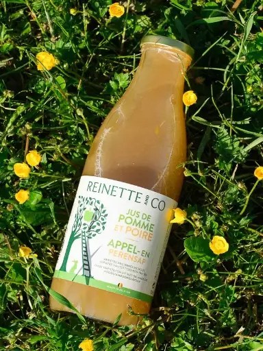 Jus de pommes 1L 