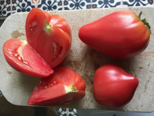 Plant Tomate 'Coeur de Boeuf' Rouge -1P 