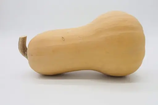 Butternut Pc (1<>1,5kg)