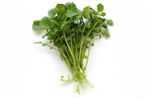 Cresson de jardin 250gr