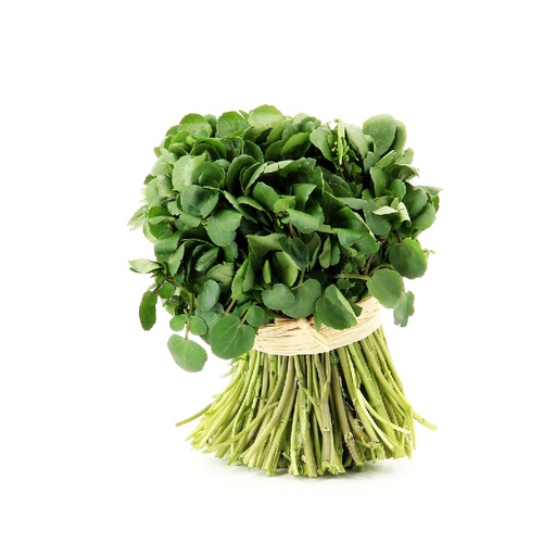 Cresson de jardin botte