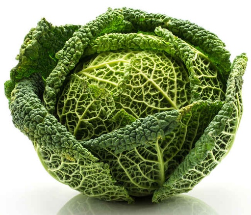 Chou Vert (Milan)petit Pce