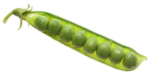 Pois à écosser 250g