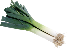 Poireau 500g
