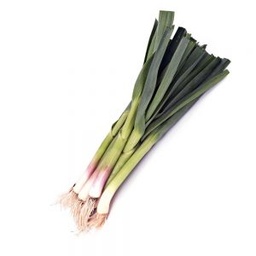 Aillet "primeur" botte
