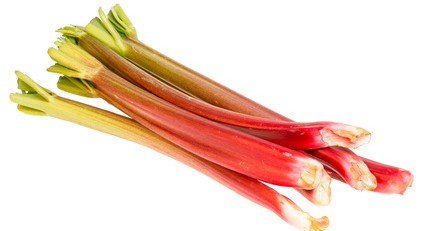 Rhubarbe botte 