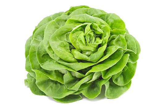 Laitue verte pommée Pce
