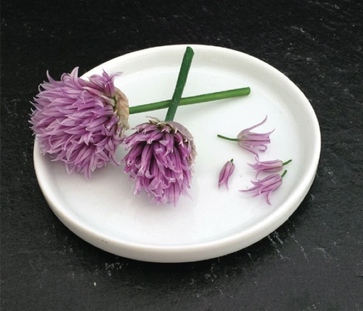 Fleurs de ciboulette 15 p