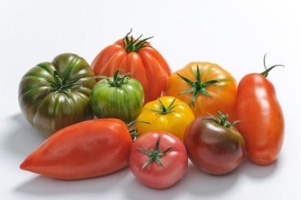 Tomate ancienne Mix Kg