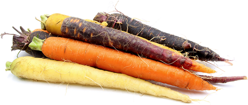 Carottes Multicolores 500g