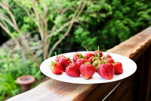 Fraises BIO 500g