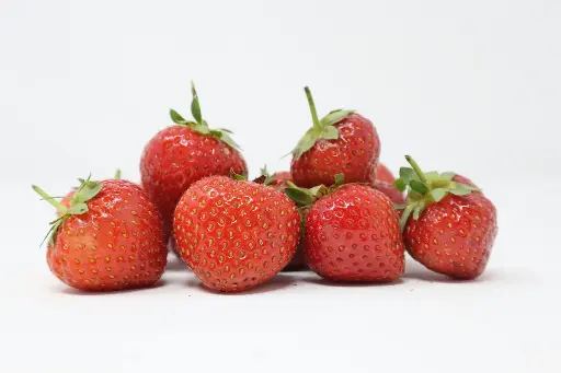 Fraises BIO 500g