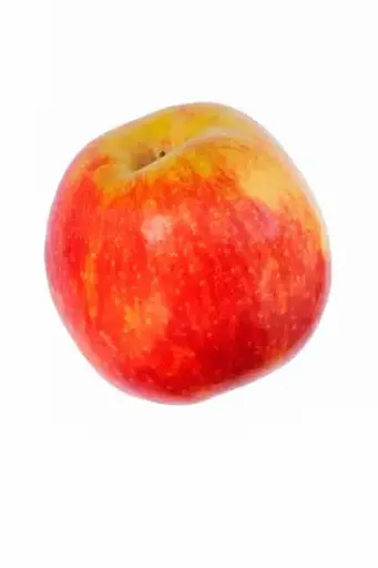 Pomme Jonagold 1Kg 